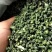九叶青花椒藤椒青麻椒