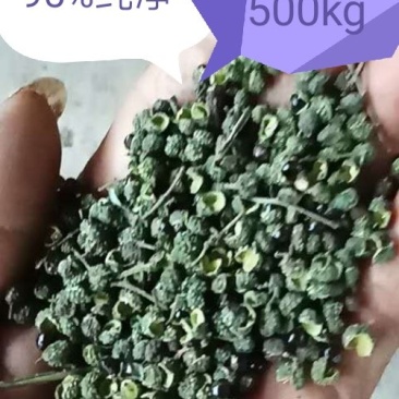 九叶青花椒藤椒青麻椒