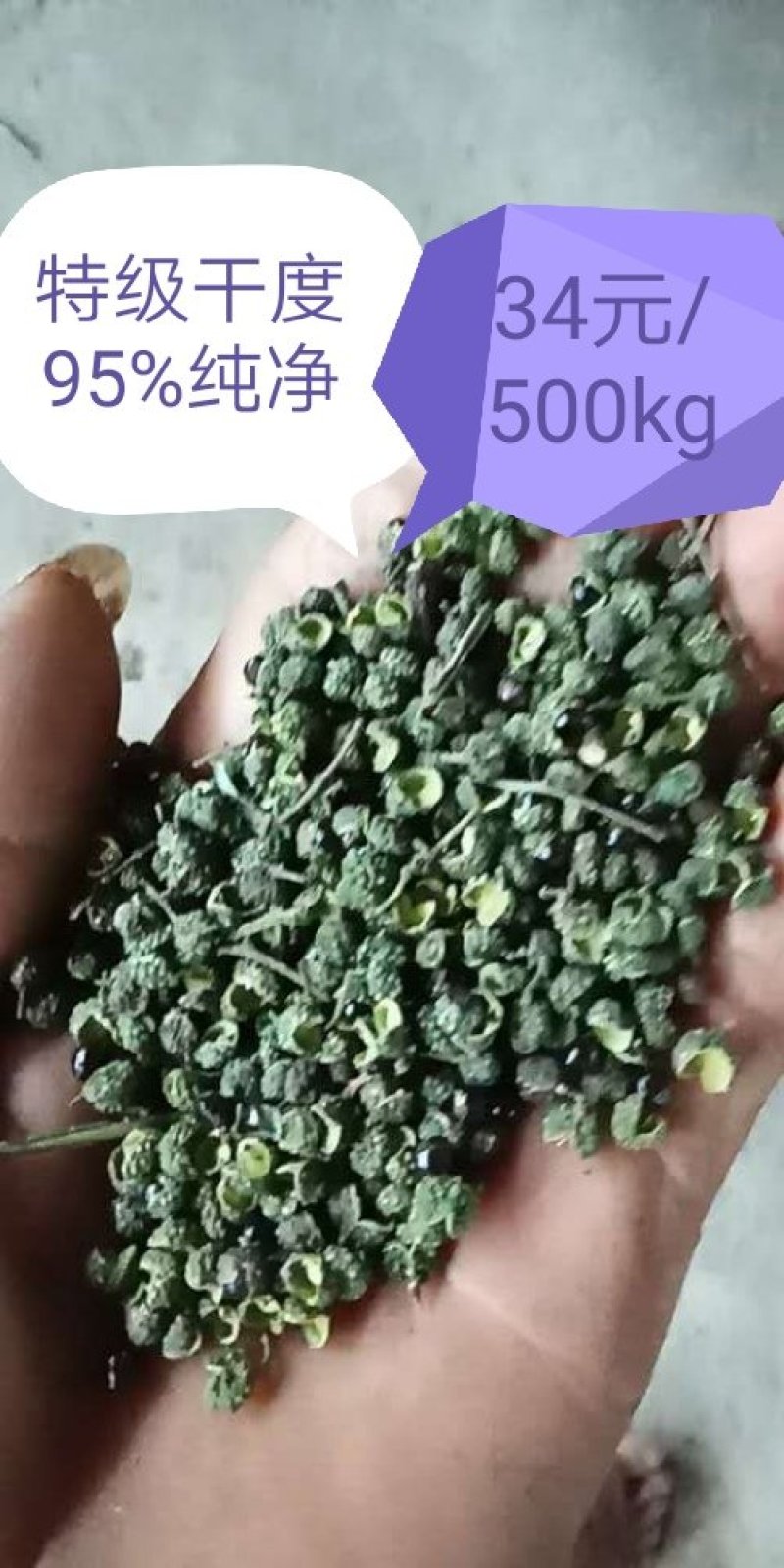 九叶青花椒藤椒青麻椒