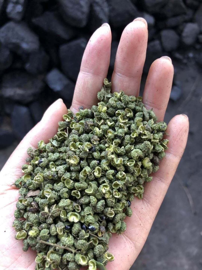 九叶青花椒藤椒青麻椒