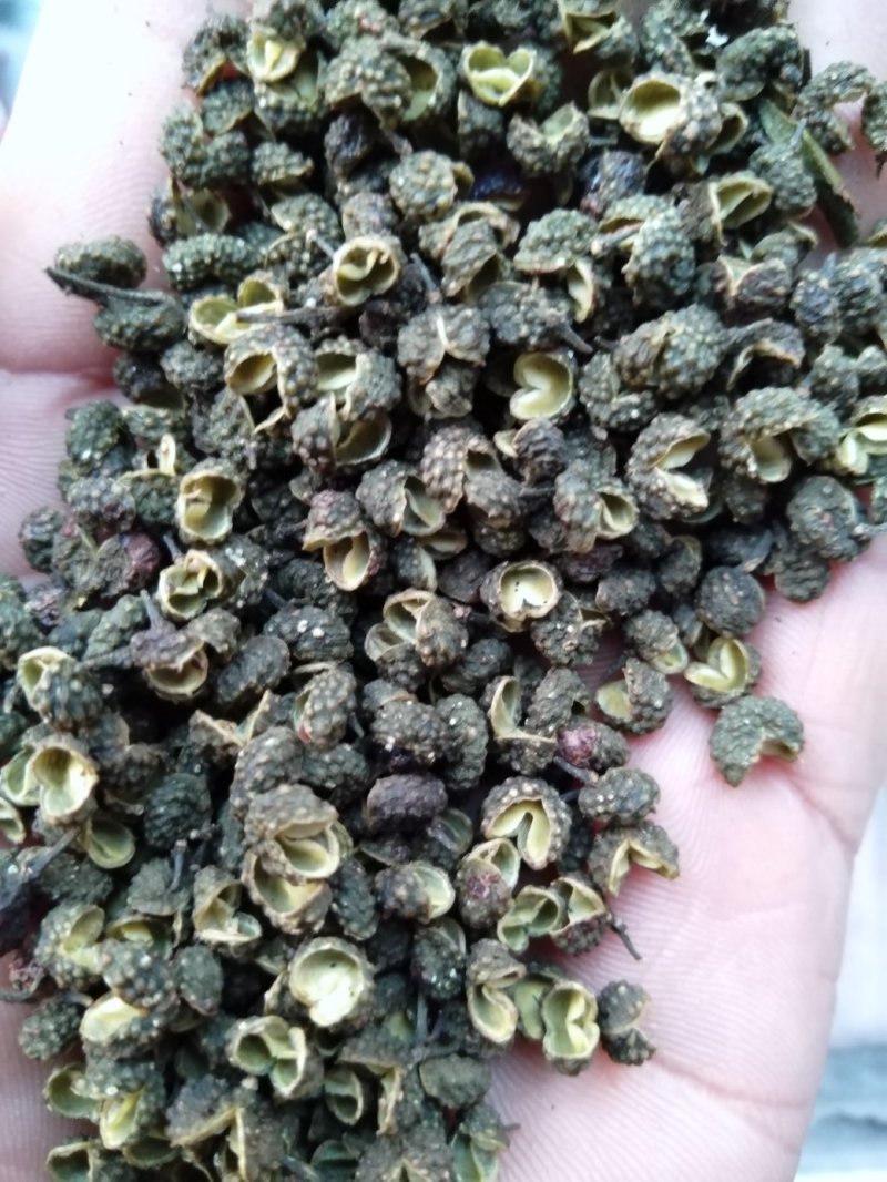 九叶青花椒藤椒青麻椒