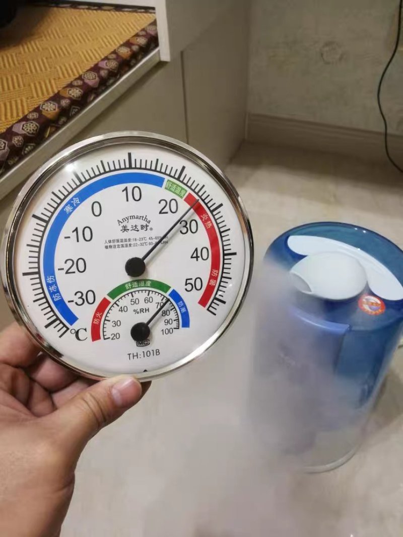 温湿度计家用温度计高精度室内创意壁挂式温度表大棚草莓