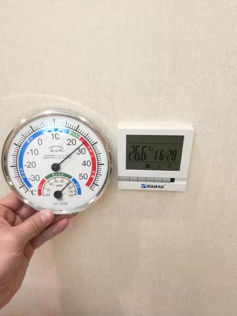 温湿度计家用温度计高精度室内创意壁挂式温度表大棚草莓