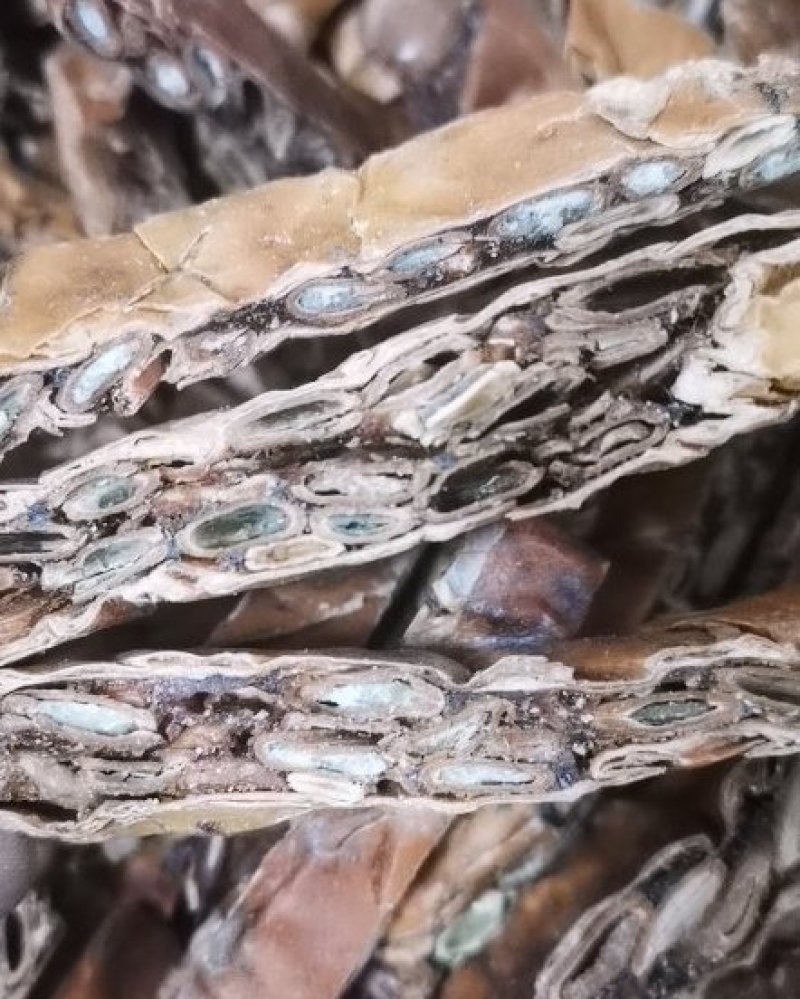 瓜蒌瓜蒌丝量大从优批发各种中药材全瓜蒌栝楼