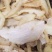 天麻片玻璃茬药业天麻个可打粉批发各种中药材