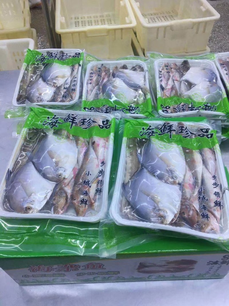 【有好货】海杂鱼海杂鱼海杂鱼