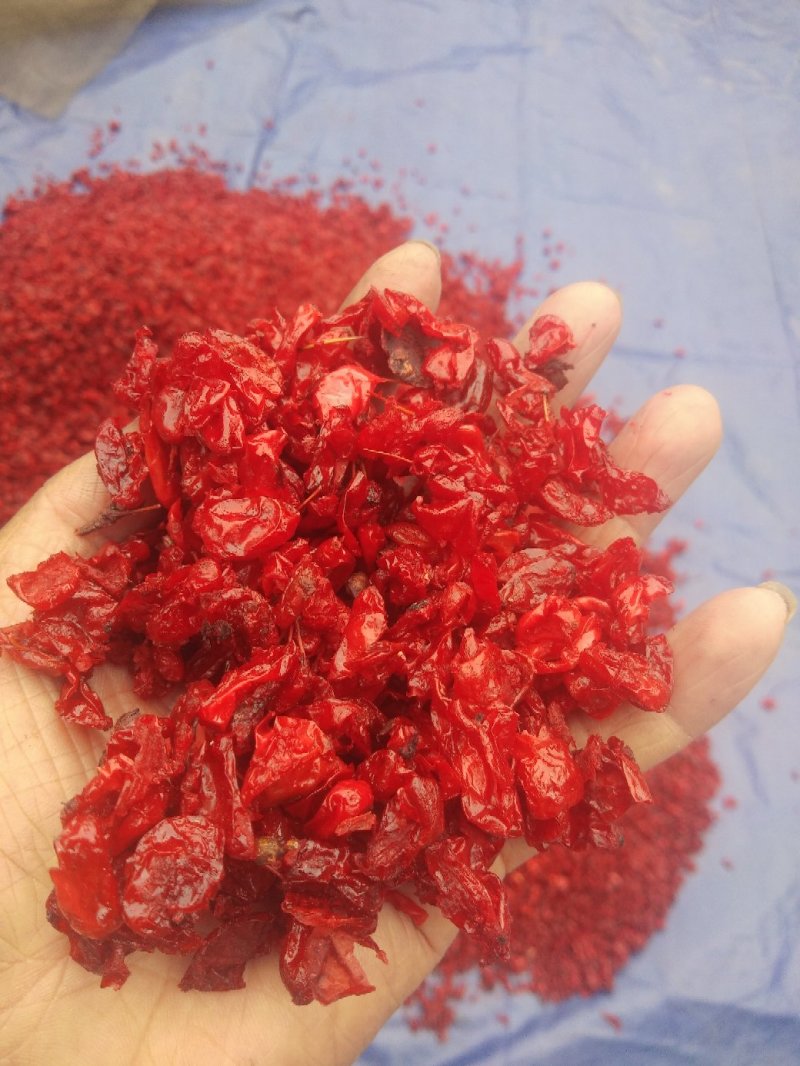 中药材山萸肉，山茱萸肉，枣皮无硫磺熏制，无农残