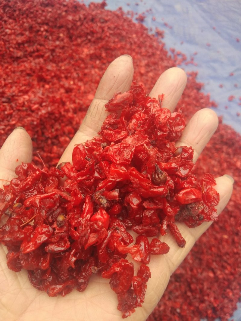 山萸肉，山茱萸肉，伏牛山高原气候产地山萸肉，无硫磺