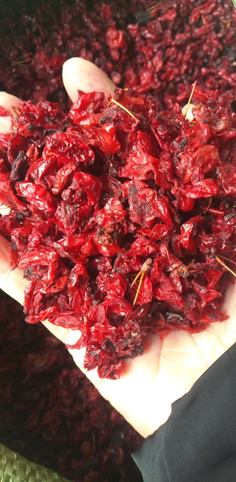 山萸肉，山茱萸肉，伏牛山高原气候产地山萸肉，无硫磺
