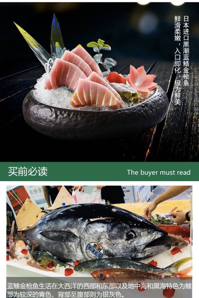 日本黑潮蓝鳍金枪鱼