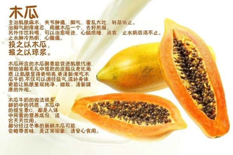 海南红心木瓜，牛奶木瓜，树上熟红土地栽培