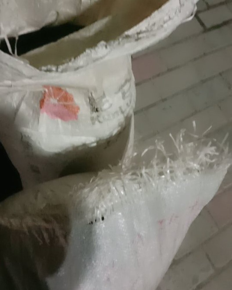 柏子