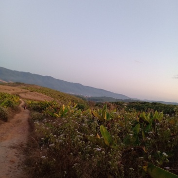 山地出租