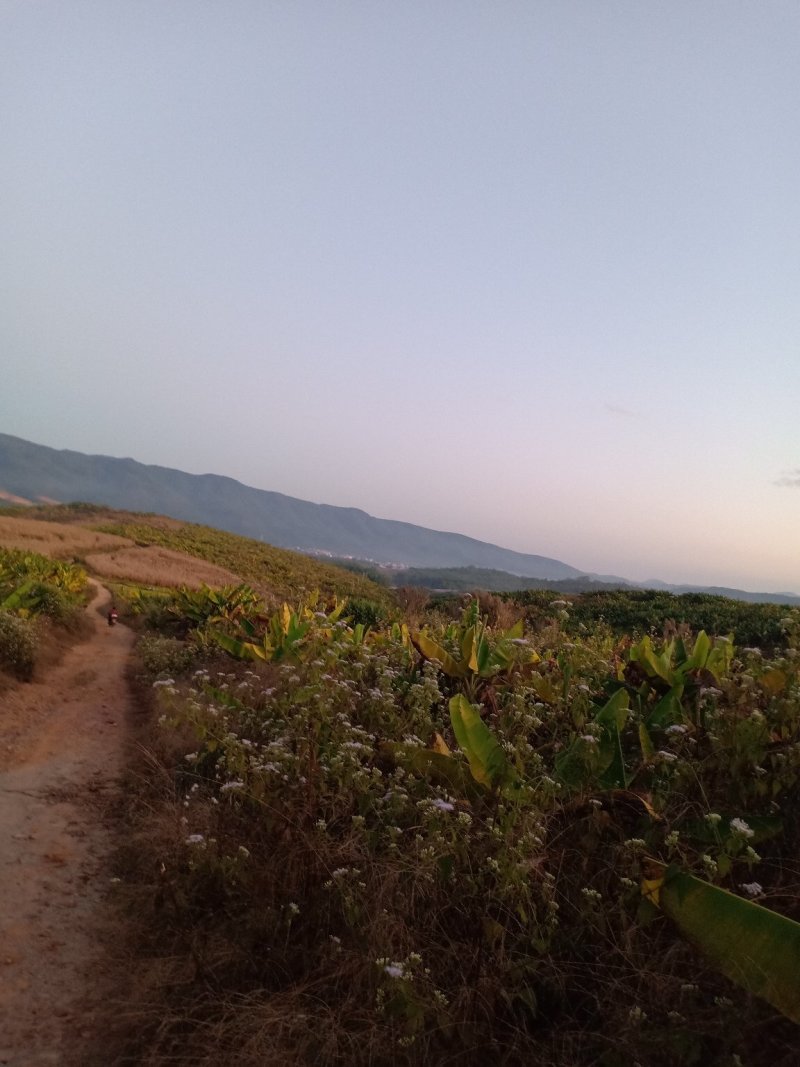 山地出租
