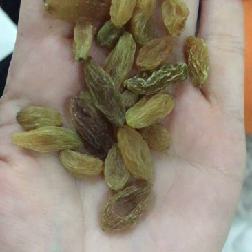 聚便宜🍎🍎葡萄干即食葡萄干新疆葡萄干袋装农家通装