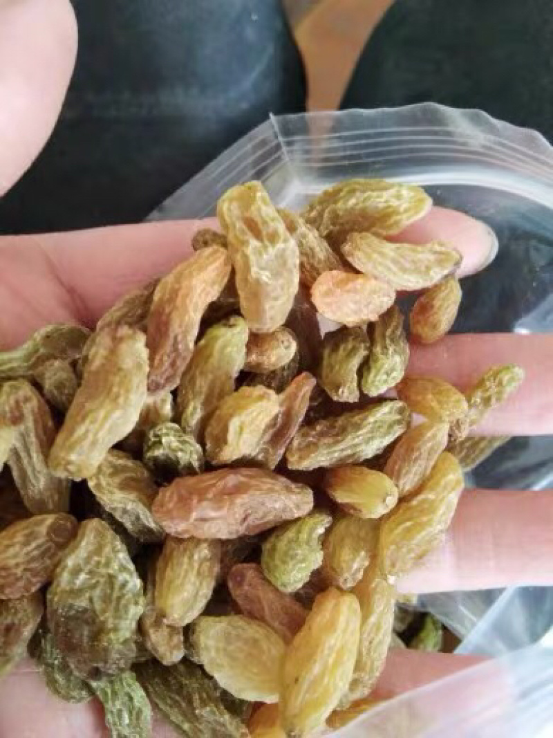 聚便宜🍎🍎葡萄干即食葡萄干新疆葡萄干袋装农家通装