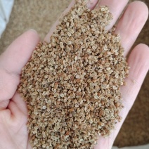 蛇床子批发零售各种规格中药材蛇床子中药材