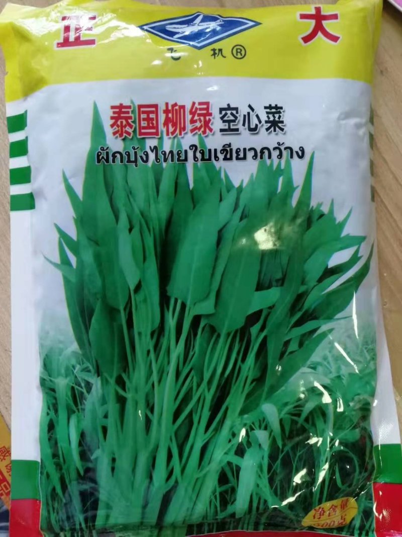空心菜种子大叶空心菜种子柳叶空心菜种子抗逆性强