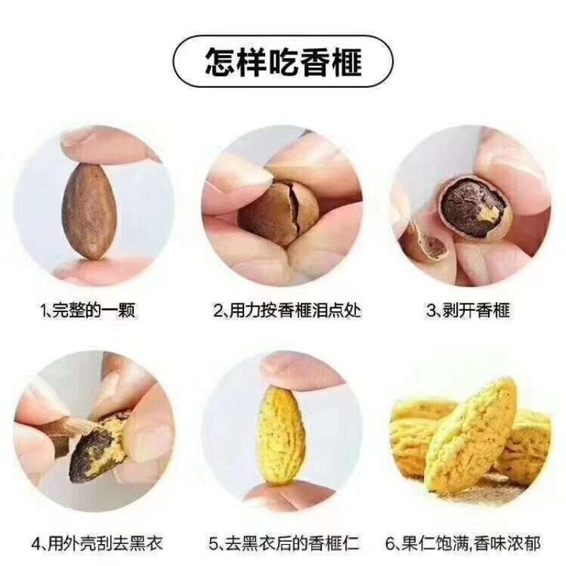 特级精品香榧嵊州香榧老产区百年老口味