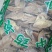 天浆壳冷背中药材无硫各种规格中药材批发零售