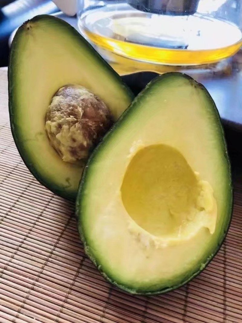 牛油果苗正品牛油果苗营养杯苗发货成活率高包邮
