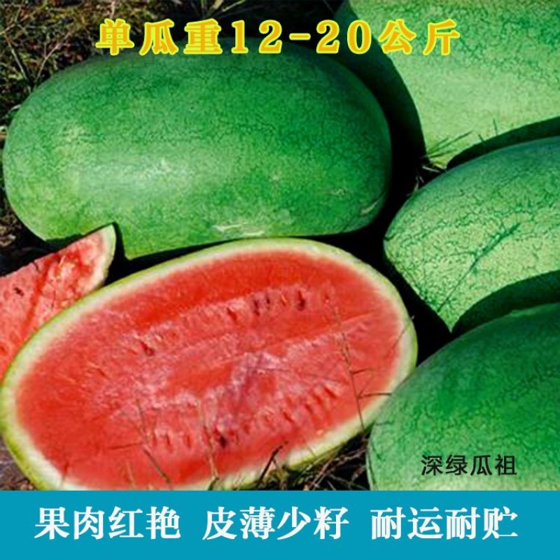 特大绿皮西瓜种子深绿瓜祖高产巨宝瓜种红瓤少籽皮薄耐裂春季