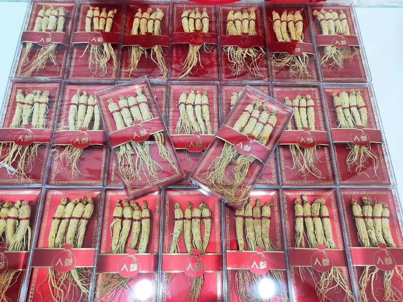 红包人参礼盒可装林下参，园参一盒四支装，