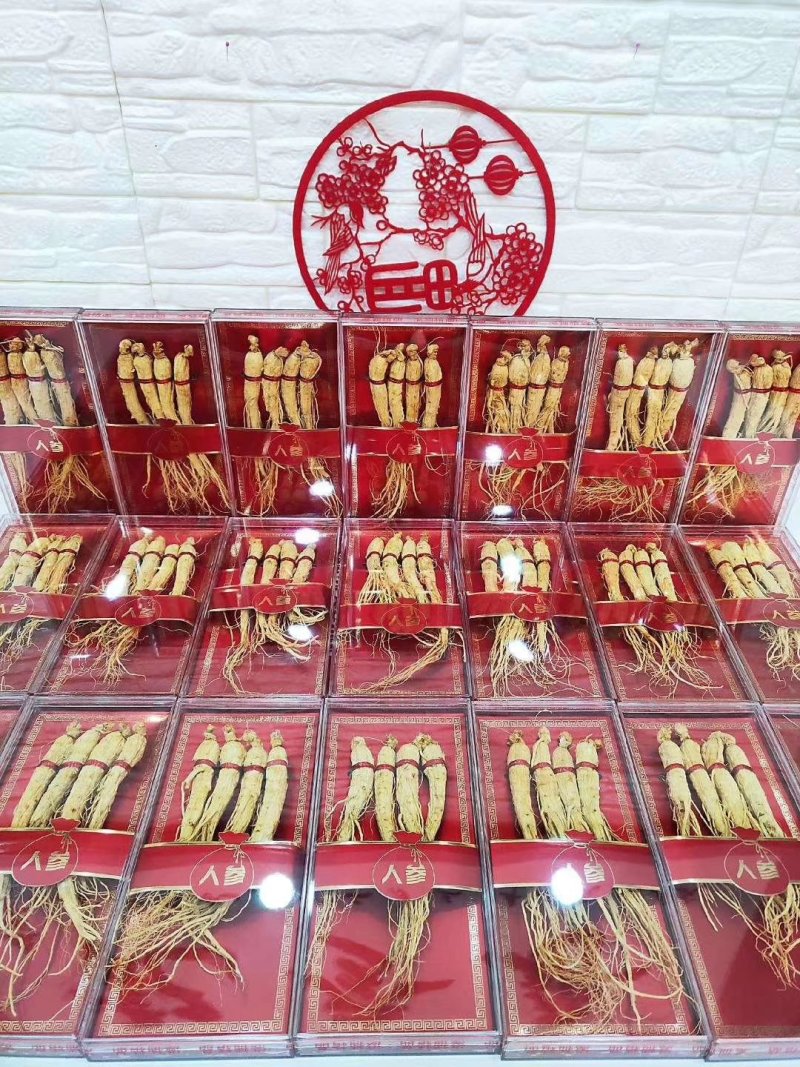 红包人参礼盒可装林下参，园参一盒四支装，
