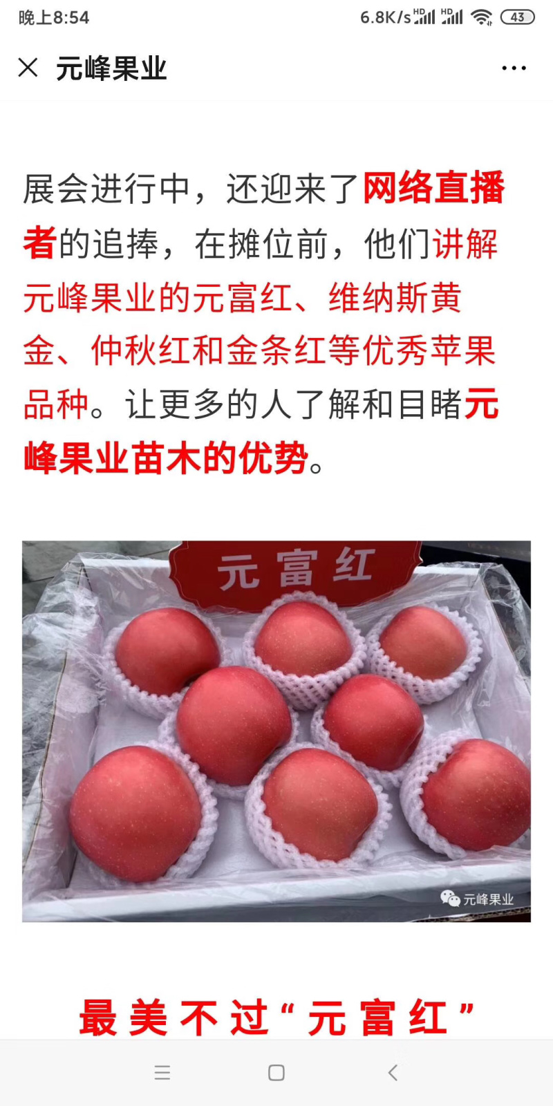 新品种巨型红富士苹果苗含糖量18-20果实重1050克