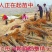 樱花树苗樱花苗南方北方种植四季地栽盆栽庭院樱花树苗樱花苗