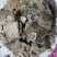 金精石金晶石金精石金精粉中可打粉正品批发中药
