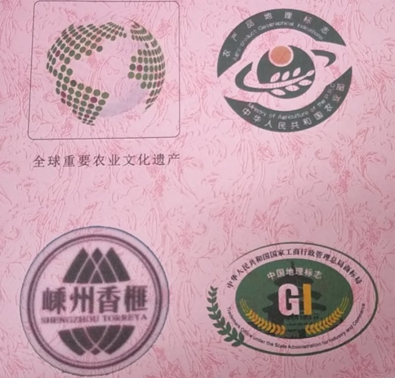 特级精品香榧嵊州香榧老产区百年老口味