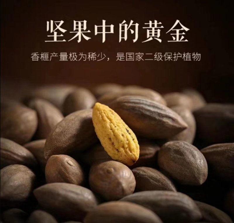 特级精品香榧嵊州香榧老产区百年老口味