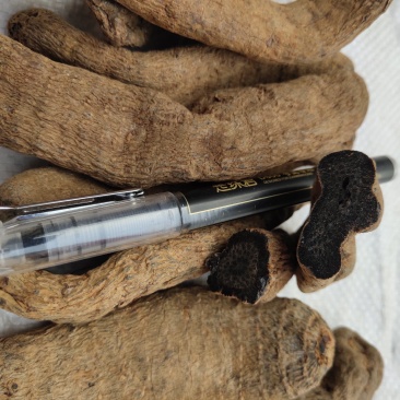 天麻乌天麻新货精选12个一斤关书药业