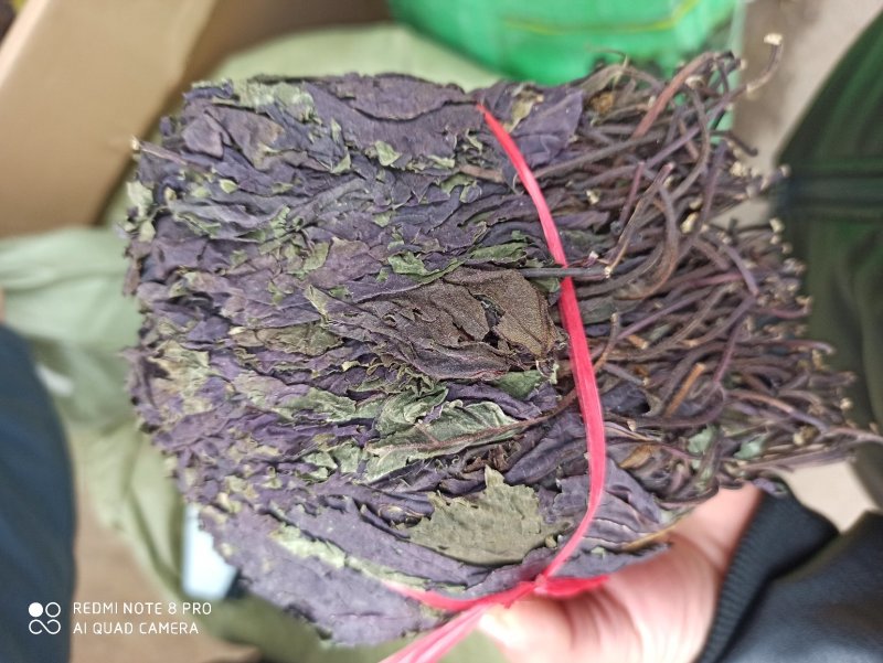 中药材紫苏叶别名苏叶赤苏紫苏皱苏尖苏香苏叶鸡冠紫苏子