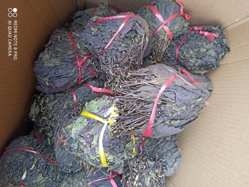 中药材紫苏叶别名苏叶赤苏紫苏皱苏尖苏香苏叶鸡冠紫苏子