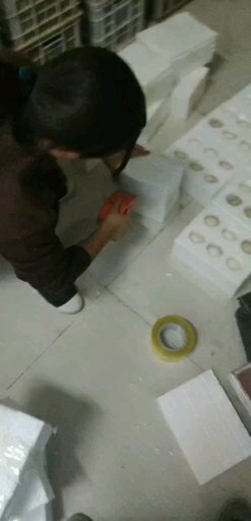 长期批发黄河滩散养新鲜鹅蛋双黄大鹅蛋