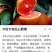 卡拉卡拉红肉脐橙苗，杯苗，地苗