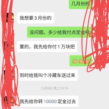 青蛙苗五年青蛙养殖。技术交流。黑斑蛙水产基地从场地建