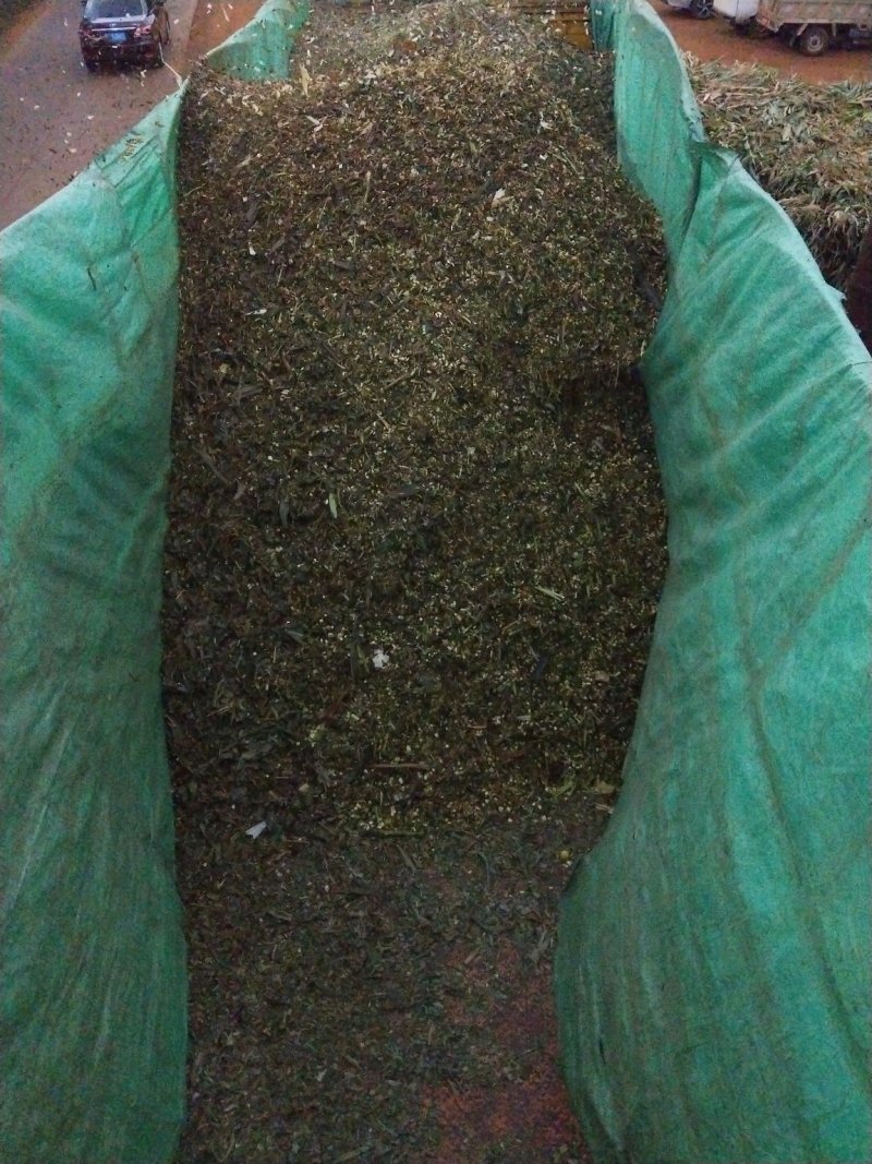 玉米杆青贮年出货量10000吨