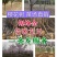 山东樱花基地低价出售10-20公分樱花，基地供应价格优惠