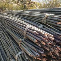 竹竿5.5米，六龙山大棚竹竿品质优良。