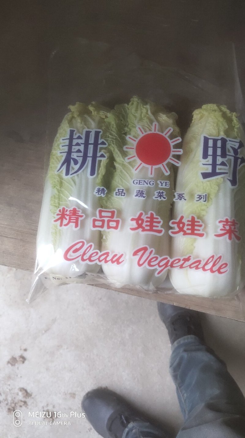 精品小娃娃菜、品质保证