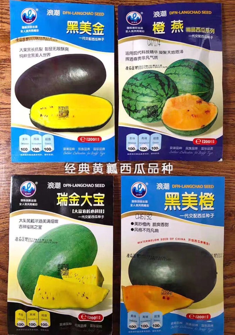 黑美金西瓜种子黑皮黄瓤黄肉薄皮西瓜早熟大果甜多汁大田水果