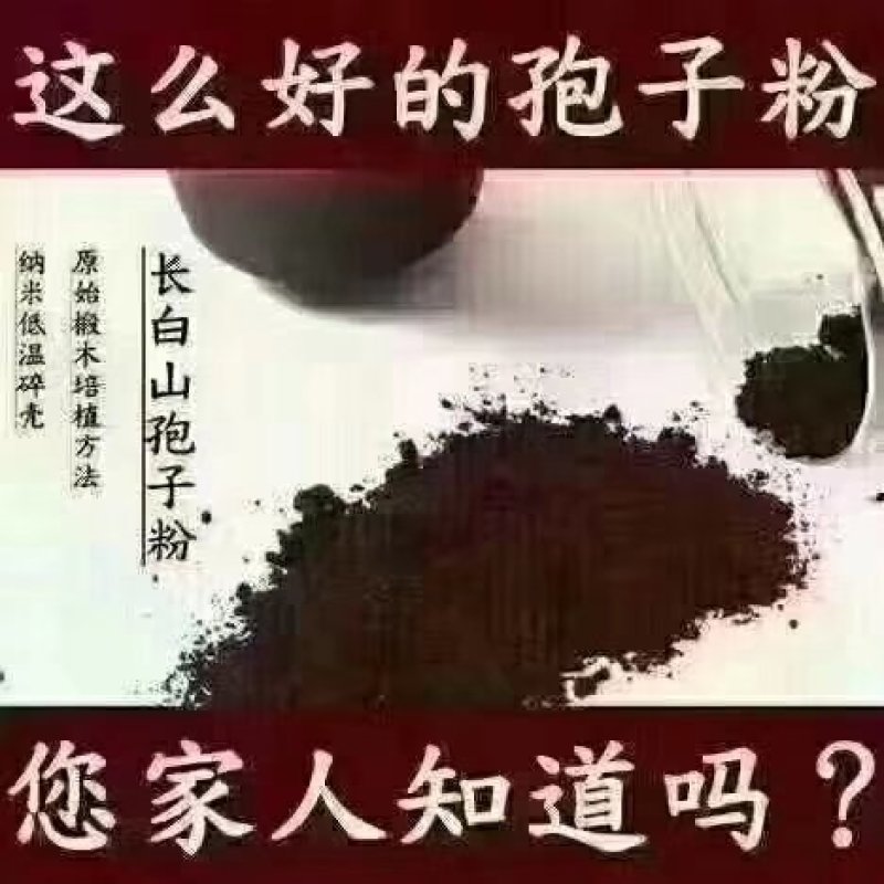 长白山灵芝孢子粉礼盒2瓶装当地灵芝品质保证