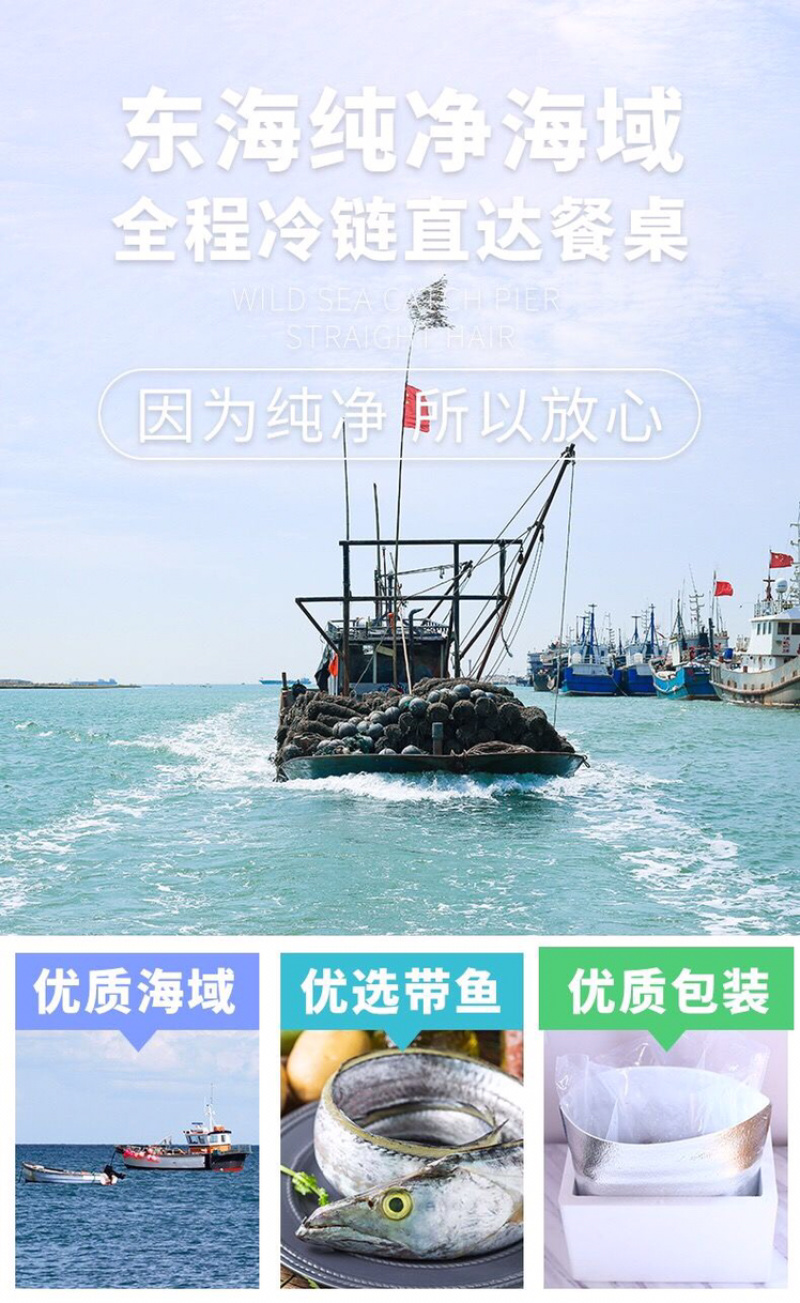 一件代发带鱼整条中段5斤新货新鲜东海冷冻包邮