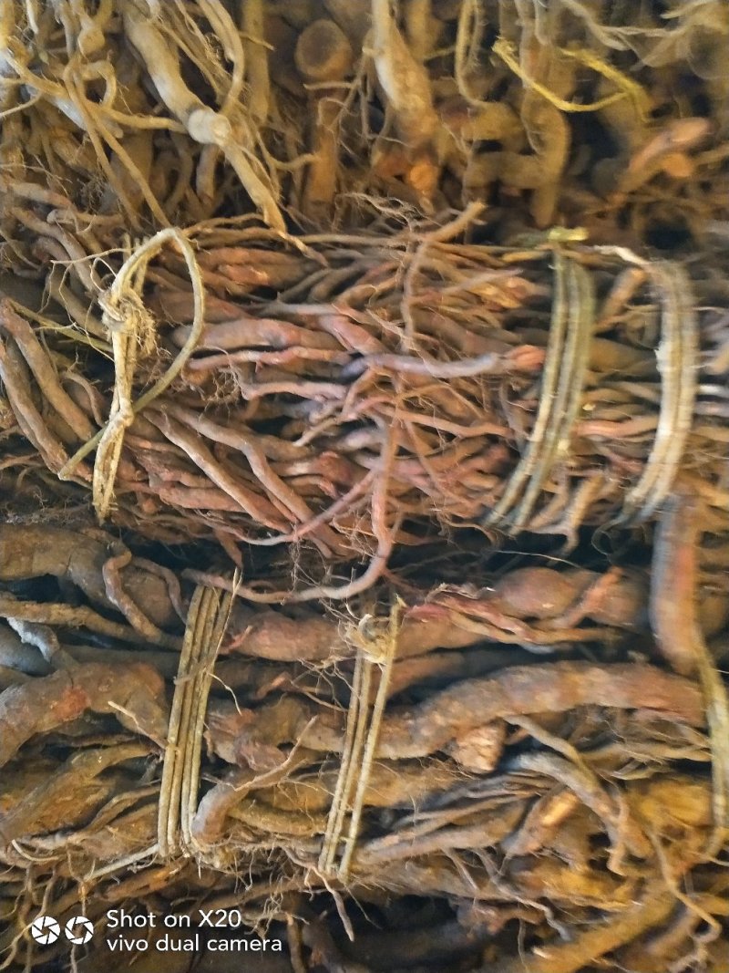 大量供应中药材，大小钻，小名黑老虎