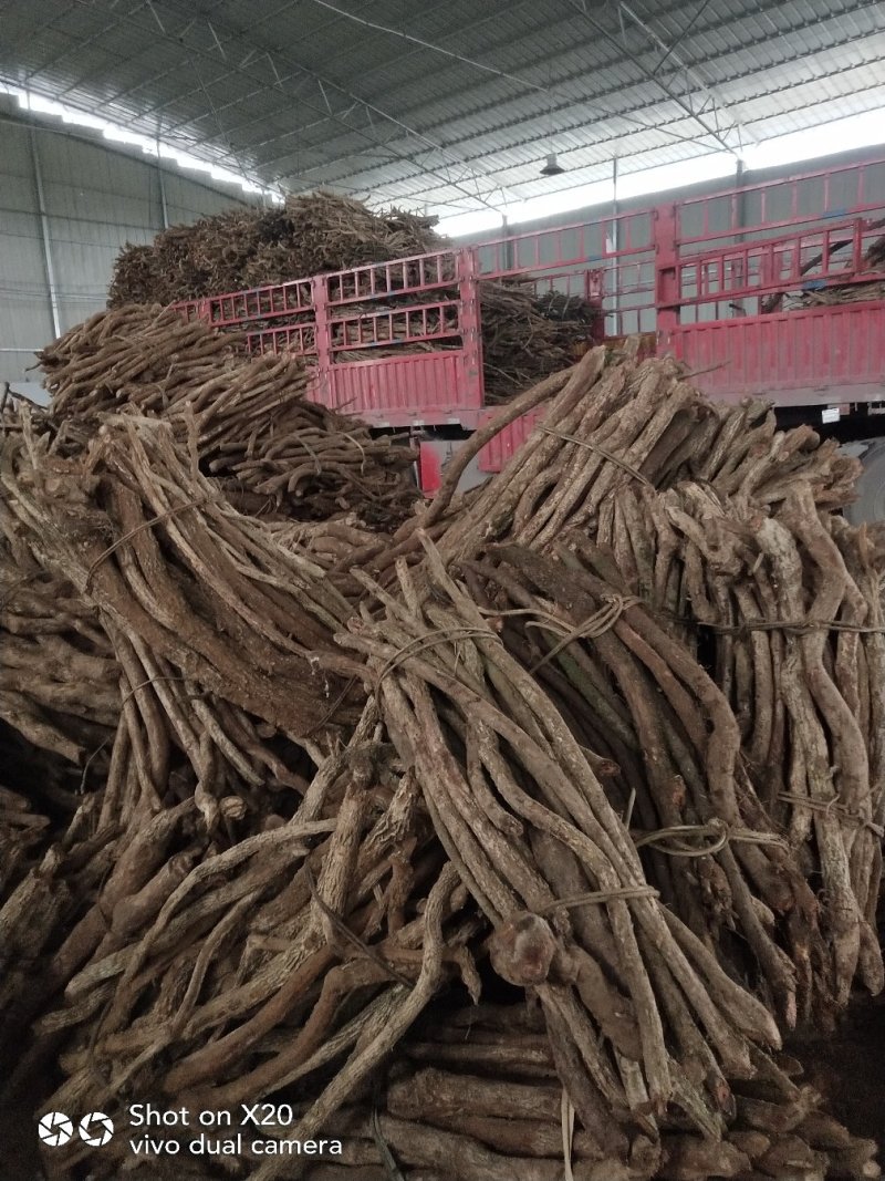 大量供应中药材，大小钻，小名黑老虎