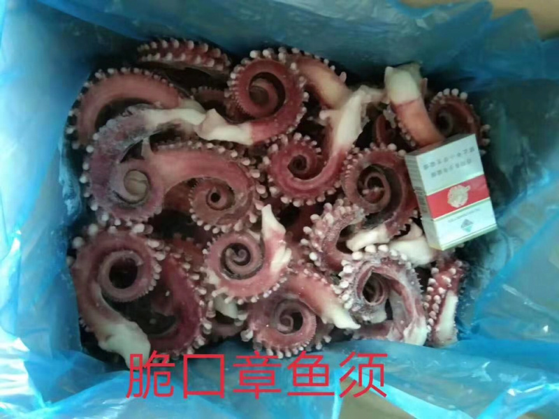 脆口鱿鱼须