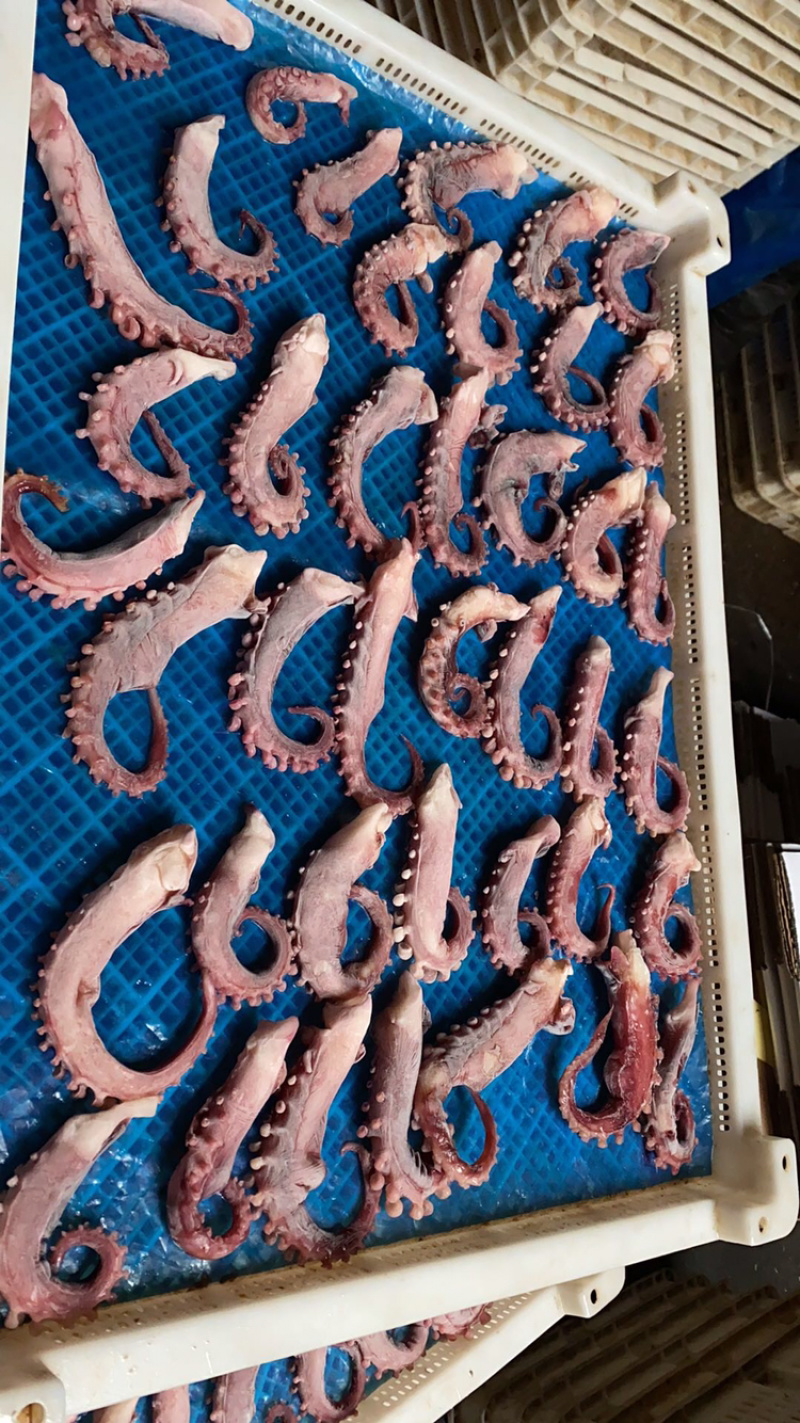 脆口鱿鱼须